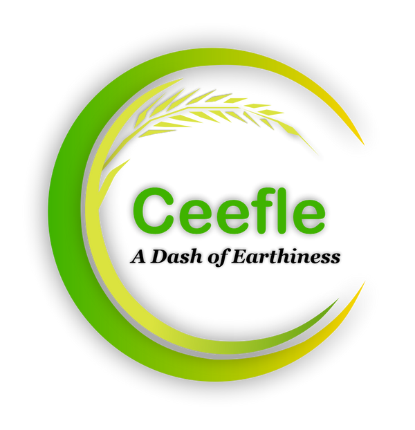 Ceefle Venture